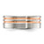 Chisel Titanium Brushed and Polished Rose IP-plated Stripes 8mm Band TB561-8.5