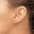 10K Mini Turtle Post Earrings 10K4438