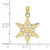 10k Polished Snowflake Charm 10K4743