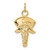 14k Nurse Symbol Charm A1602