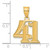 14k Polished Etched Number 41 Pendant AEN41