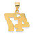14k Polished Etched Number 47 Pendant AEN47