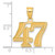 14k Polished Etched Number 47 Pendant AEN47