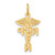 14k Registered Nurse Practitioner Charm C1787