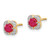 14k Diamond and Ruby Fancy Earrings EM3923-RU-009-YA