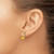 10k Citrine and Diamond Earrings EM4235-CI-006-1YA