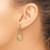 14k Satin/Polished Diamond Oval w/Chain Dangle Post Earrings EM6867-037-YA