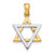 14K Two-Tone Star Of David Charm K9752