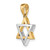 14K Two-Tone Star Of David Charm K9752