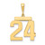 14k Large Polished Number 24 Charm LP24