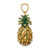 14K Enamel and Polished 3-D Pineapple Charm K7062
