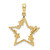 14k & White Rhodium D/C Stars Pendant M2978
