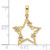 14k & White Rhodium D/C Stars Pendant M2978