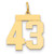 14k Medium Polished Number 43 Charm LM43