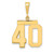 14k Medium Polished Number 40 Charm MP40