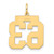 14k Medium Satin Number 63 Charm LSM63