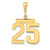 14k Medium Polished Number 25 Charm MP25