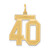 14k Medium Satin Number 40 Charm LSM40