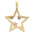 14k Two-tone w/White Rhodium Star w/Flowers Charm K9440