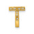 10K  Diamond Letter T Initial Charm PM5221T-010-1YA