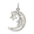 Sterling Silver Moon & Star Pendant QC1070