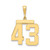 14k Large Polished Number 43 Charm LP43