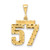 14k Medium Diamond-cut Number 57 Charm MN57