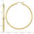 10K Polished 2mm Lightweight Tube Hoop Earrings 10T921L