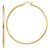 10K Polished 2mm Lightweight Tube Hoop Earrings 10T923L