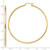 10K Polished 2mm Lightweight Tube Hoop Earrings 10T923L