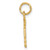 14k RN Nurse Charm C433