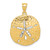 14K with White Rhodium Polished Diamond-Cut Sand Dollar Pendant D1401