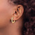 14k Diamond Hinged Hoop Earrings EM5366-100-YA