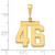 14k Medium Polished Number 46 Charm MP46