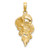 14K Wentletrap Shell Charm K7633