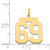 14k Medium Polished Number 69 Charm LM69