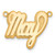 10k Yellow Gold 3D Polished Name Plate 10XNA242Y