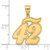 14k Brushed Border Script Number 42 Pendant SCN42