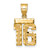 14k Small Brushed Diamond-cut Number 16 Charm SN16