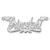 10k White Gold Polished Hearts Name Plate 10XNA142W