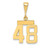 14k Small Polished Number 48 Charm SP48