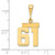 14k Small Polished Number 61 Charm SP61