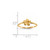 14k Satin & Diamond-cut Plumeria Ring R630