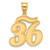 14k Brushed Border Script Number 36 Pendant SCN36