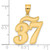 14k Brushed Border Script Number 37 Pendant SCN37