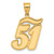 14k Brushed Border Script Number 51 Pendant SCN51