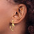 14K 3-D Flamingo Dangle Earrings TE673