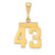 14k Small Polished Number 43 Charm SP43
