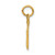 14k RN Registered Nurse Charm A0390