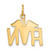 14k RN Registered Nurse Charm A0390